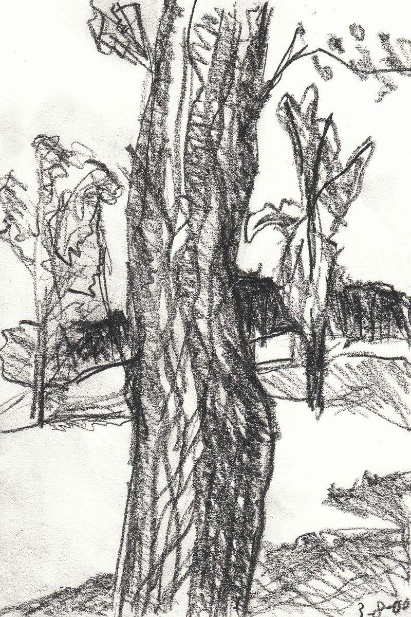 Technical Sketches